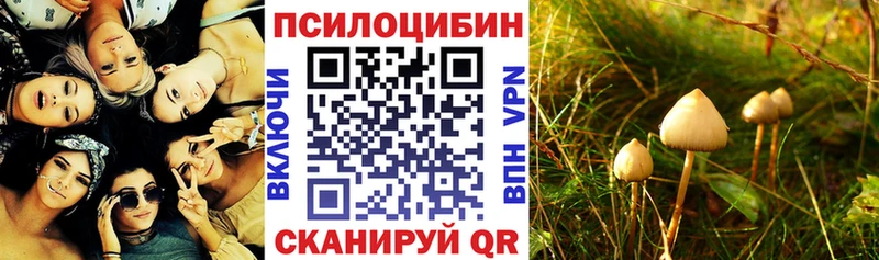 даркнет наркотические препараты  цена   omg ТОР  Сатка  Галлюциногенные грибы Psilocybe 